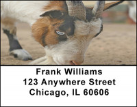 Goats On The Farm Address Labels | LBBAF-44