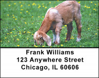 Goats On The Farm Address Labels | LBBAF-44