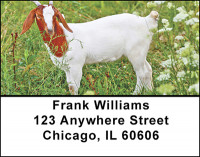 Goats On The Farm Address Labels | LBBAF-44