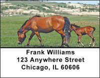 Horses in Nature Address Labels | LBBAF-45
