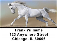 Horses in Nature Address Labels | LBBAF-45