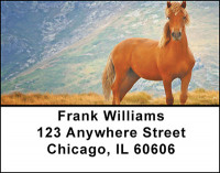 Horses in Nature Address Labels | LBBAF-45