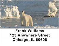Polar Bears in the Arctic Address Labels | LBBAF-47