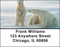 Polar Bears in the Arctic Address Labels | LBBAF-47