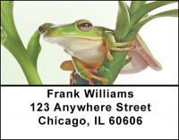 Rain Forest Frogs Address Labels | LBBAF-48