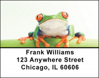 Rain Forest Frogs Address Labels | LBBAF-48