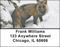Cunning Red Fox Address Labels | LBBAF-49