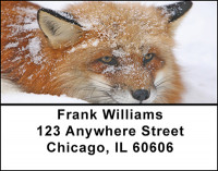 Cunning Red Fox Address Labels | LBBAF-49