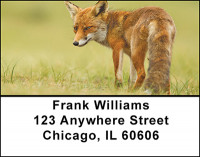 Cunning Red Fox Address Labels | LBBAF-49