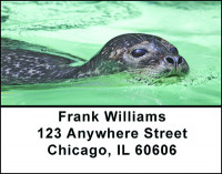 Seals Marine Life Address Labels | LBBAF-51