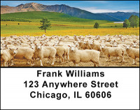 Sheep In The Field Address Labels | LBBAF-52