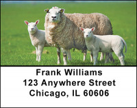 Sheep In The Field Address Labels | LBBAF-52