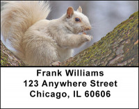 Squirrels Address Labels | LBBAF-53
