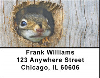 Squirrels Address Labels | LBBAF-53