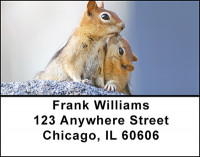 Squirrels Address Labels | LBBAF-53