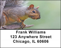 Squirrels Address Labels | LBBAF-53