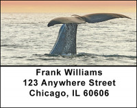 Whales Address Labels | LBBAF-55