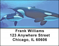 Whales Address Labels | LBBAF-55