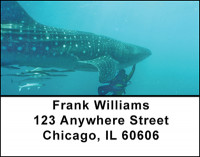 Whales Address Labels | LBBAF-55