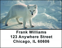 White Arctic Fox Address Labels | LBBAF-56