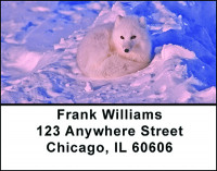 White Arctic Fox Address Labels | LBBAF-56