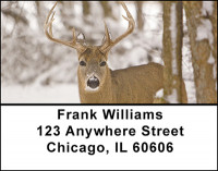 Whitetail Deer Address Labels | LBBAF-57