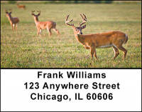 Whitetail Deer Address Labels | LBBAF-57