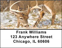 Whitetail Deer Address Labels | LBBAF-57