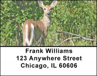 Does And Fawns Address Labels | LBBAF-58