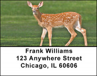 Does And Fawns Address Labels | LBBAF-58