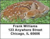 Does And Fawns Address Labels | LBBAF-58