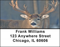 Buck Fever Address Labels | LBBAF-59