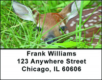Fawns Address Labels | LBBAF-60