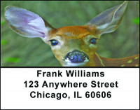 Fawns Address Labels | LBBAF-60