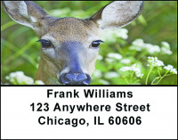 Fawns Address Labels | LBBAF-60