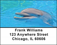 Swim With Dolphins Address Labels | LBBAF-90