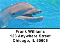 Swim With Dolphins Address Labels | LBBAF-90