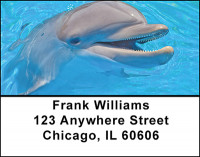 Swim With Dolphins Address Labels | LBBAF-90