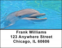 Swim With Dolphins Address Labels | LBBAF-90