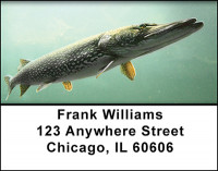 Pike Fishing Address Labels | LBBAH-07