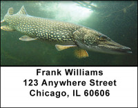 Pike Fishing Address Labels | LBBAH-07
