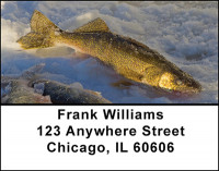 Walleye & Northern Pike Fishing Address Labels | LBBAH-08