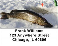 Walleye & Northern Pike Fishing Address Labels | LBBAH-08