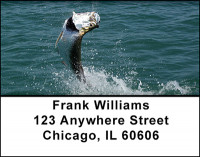 Ocean Fishing Fun Address Labels | LBBAH-12