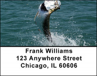 Trophy Fishing in the Gulf Address Labels | LBBAH-17