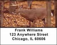Bow Hunting Address Labels | LBBAH-18