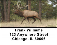 Trophy Bow Hunting Address Labels | LBBAH-19