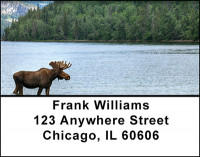 Trophy Rifle Hunting Address Labels | LBBAH-20