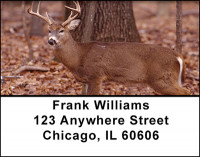 Trophy Rifle Hunting Address Labels | LBBAH-20