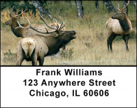 Trophy Rifle Hunting Address Labels | LBBAH-20